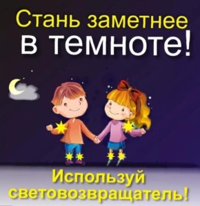 В МБОУ "Писковская СОШ" Псковского района прошла важная акция, посвященная безопасности дорожного движения