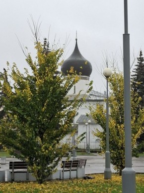 13 ноября псковичей ждет облачная погода