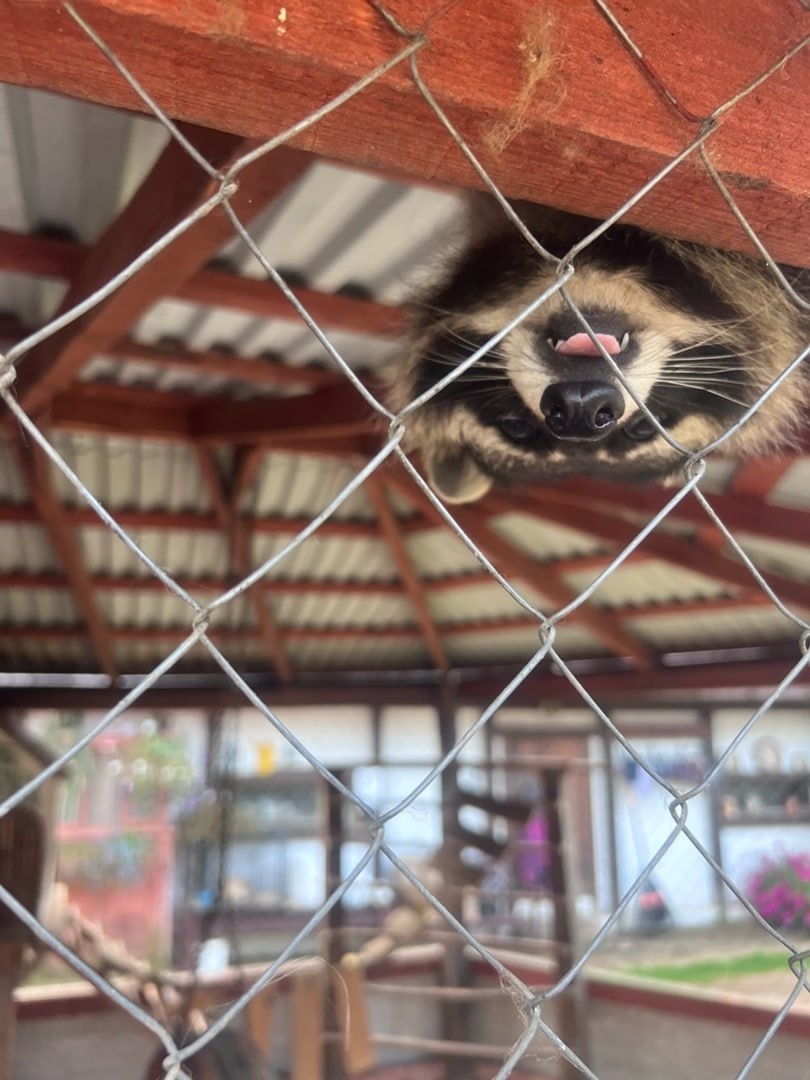 14 ноября в Псковской области ожидается облачная с прояснениями погода 14 ноября в Псковской области ожидается облачная с прояснениями погода