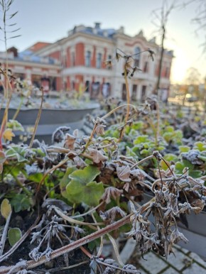 По информации пресс-службы регионального ГУ МЧС, 15 ноября 2025 года в Псковской области ожидается облачная погода с прояснениями