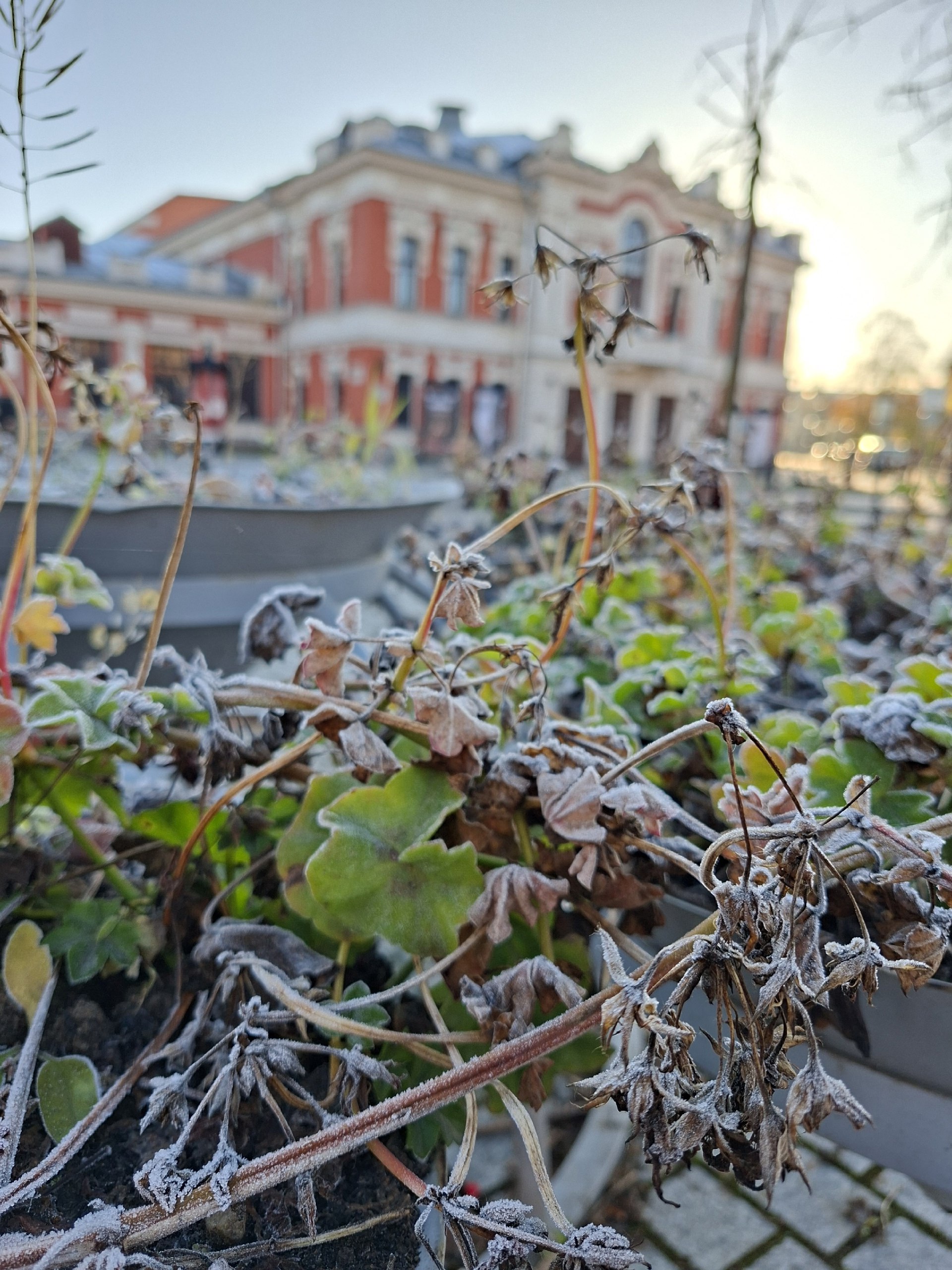 По информации пресс-службы регионального ГУ МЧС, 15 ноября 2025 года в Псковской области ожидается облачная погода с прояснениями