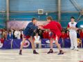 Всероссийский День самбо в Писковичах