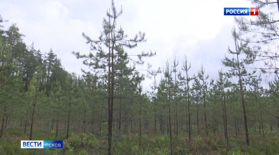     70      &quot; &quot;