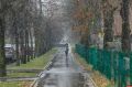 До -3 градусов и мокрый снег прогнозируют в Псковской области 17 ноября
