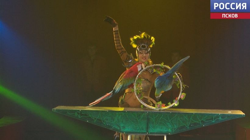 Премьера циркового шоу "Королевство Львов" от цирка-шапито Крокус прошла в Пскове Премьера циркового шоу "Королевство Львов" от цирка-шапито Крокус прошла в Пскове