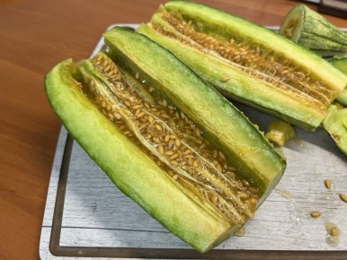 Огурдыня: уникальная культура с неожиданным вкусом