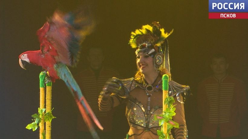 Премьера циркового шоу "Королевство Львов" от цирка-шапито Крокус прошла в Пскове Премьера циркового шоу "Королевство Львов" от цирка-шапито Крокус прошла в Пскове