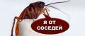 Как бороться с распространением тараканов от соседа: права и обязанности жильцов