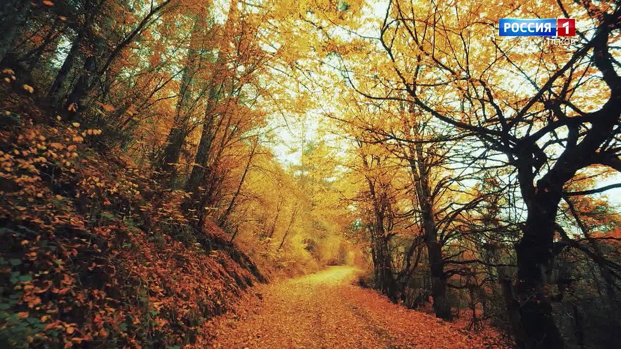 Прогноз погоды в Псковской области на 19 ноября