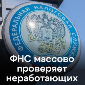 Как налоговые службы раскрывают тайные доходы: новости 2025 года