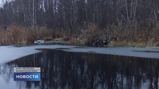 Сводка чрезвычайных происшествий