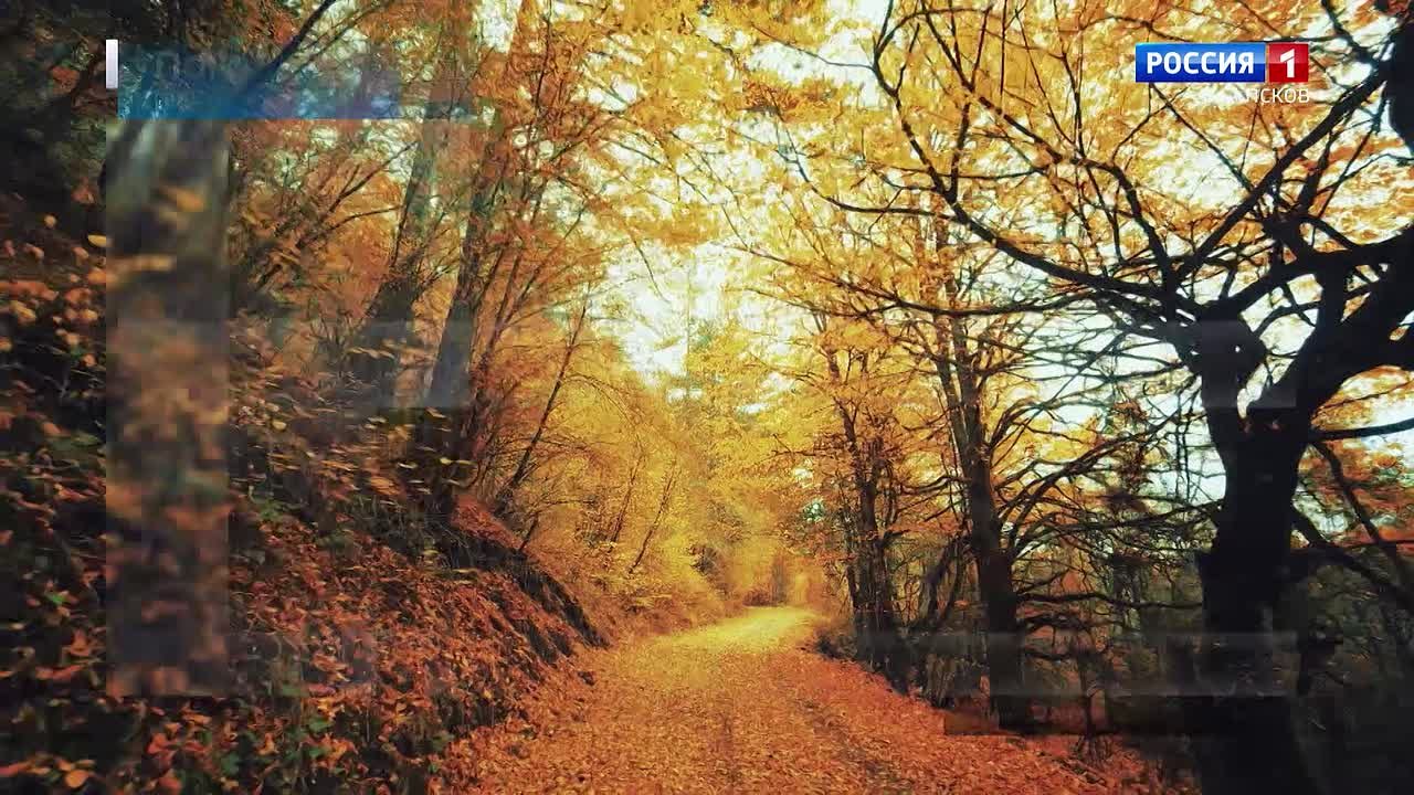 Прогноз погоды в Псковской области на 20 ноября