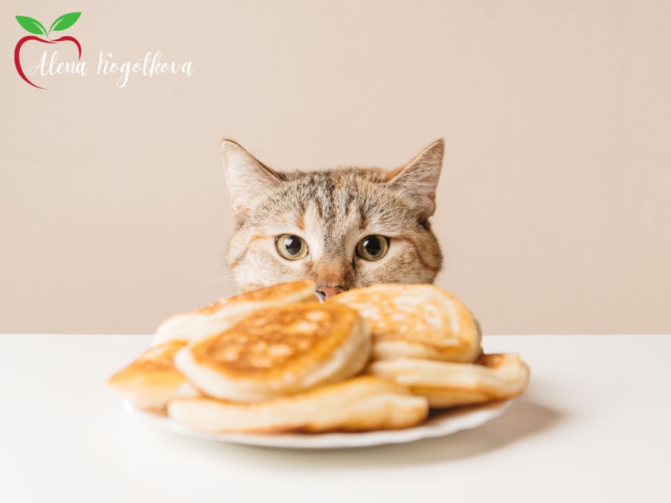 Чем обернется вопрос о блинах на Масленице? Углубляемся в пищевые привычки