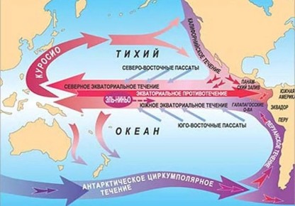 Изменение климата: как садоводы сталкиваются с новыми вызовами