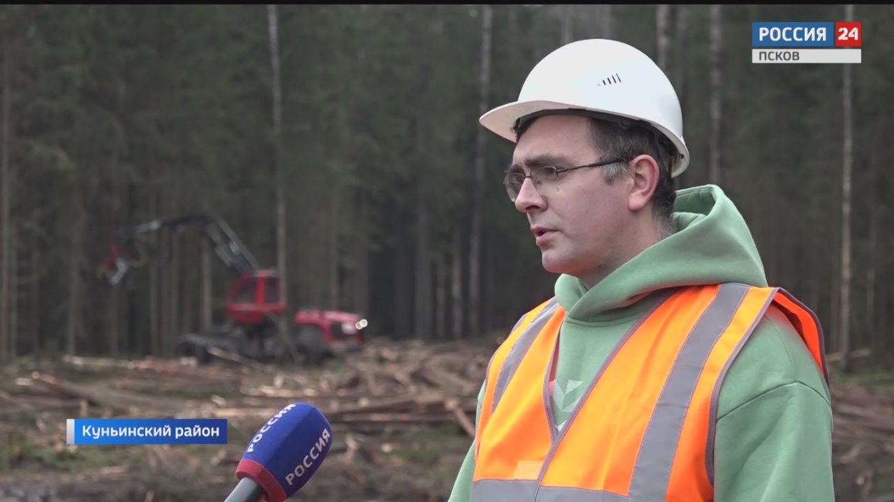 Жители Куньинского округа обеспокоены вырубками леса в районе деревень Слепнево и Прихабы