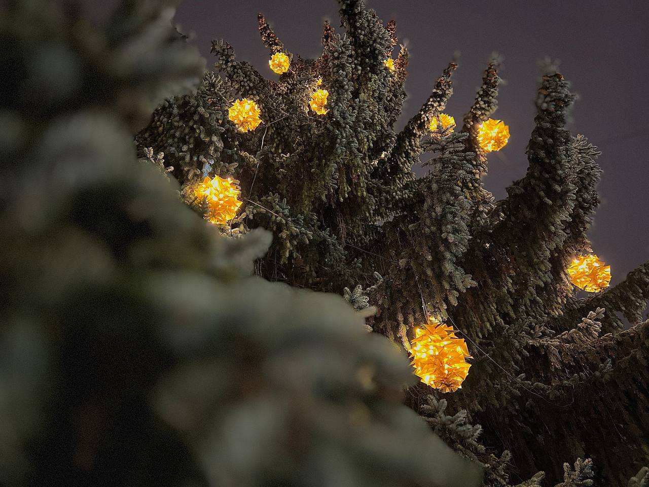 Елкин Борис: Наступает тот волшебный период, когда мы начинаем готовиться к самым любимым праздникам – Новому году и Рождеству Елкин Борис: Наступает тот волшебный период, когда мы начинаем готовиться к самым любимым праздникам – Новому году и Рождеству