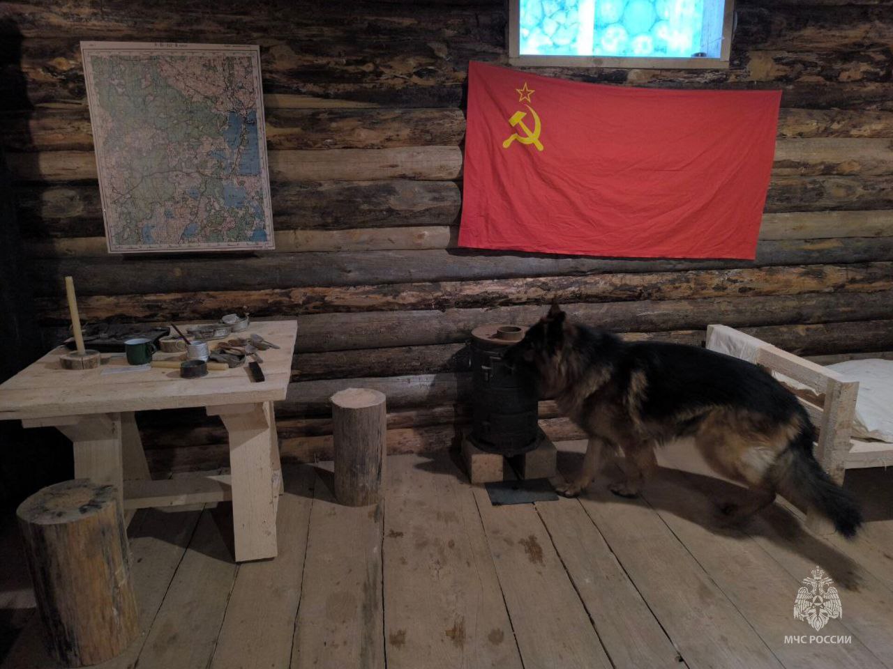 Сотрудники главного управления приняли участие в "Школе партизанского мастерства" Сотрудники главного управления приняли участие в "Школе партизанского мастерства"