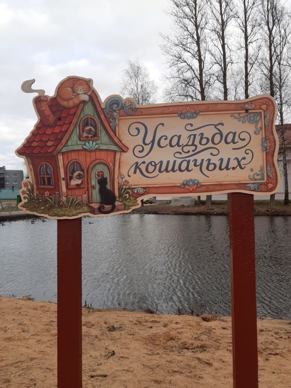 В деревне Переслегино активисты ТОС "Старый дворик" при поддержке неравнодушных жителей обустроили на берегу пожарного водоема минигородок "Усадьба кошачьих"