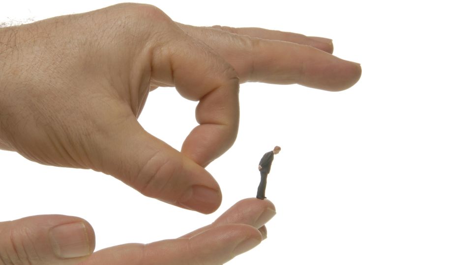 Работодатель и закон: адвокат перечислил причины, по которым могут уволить