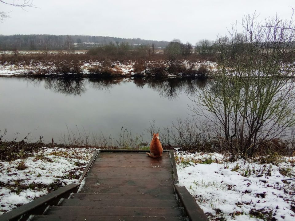 24 ноября в Псковской области ожидается облачная погода