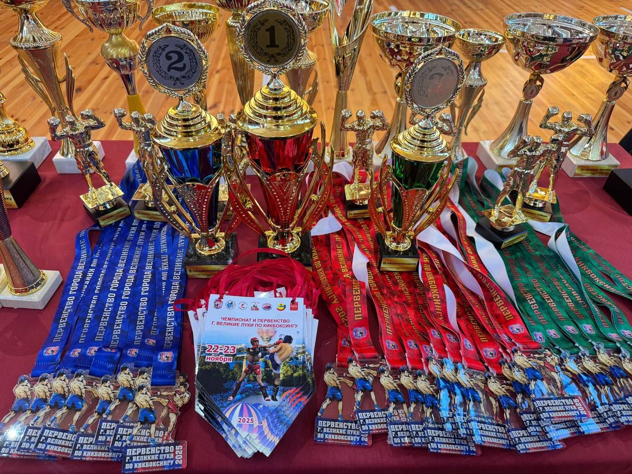 Великие Луки определили сильнейших кикбоксеров города Великие Луки определили сильнейших кикбоксеров города