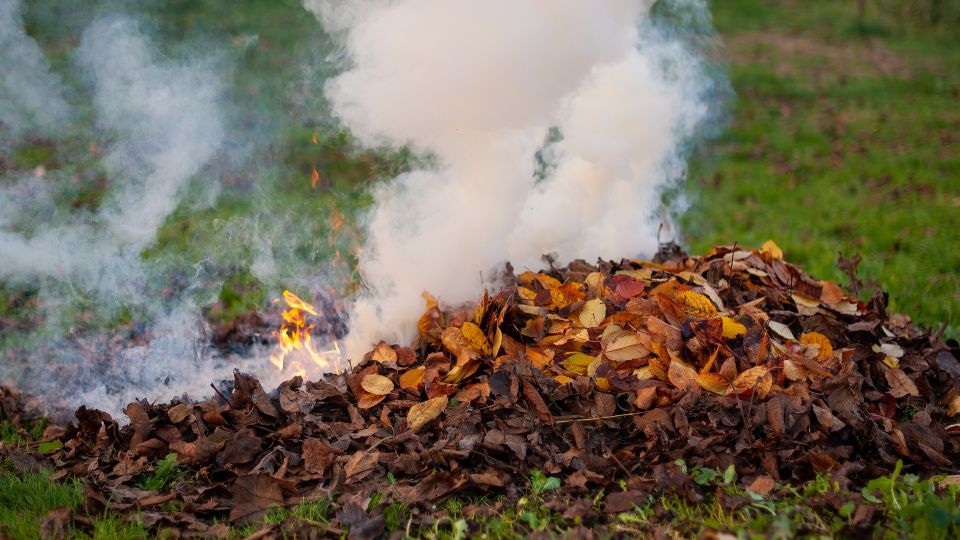 За такой костер не оштрафуют: как сжигать палую листву на даче безопасно