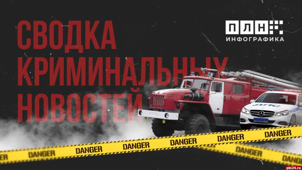 Сводка криминальных новостей
