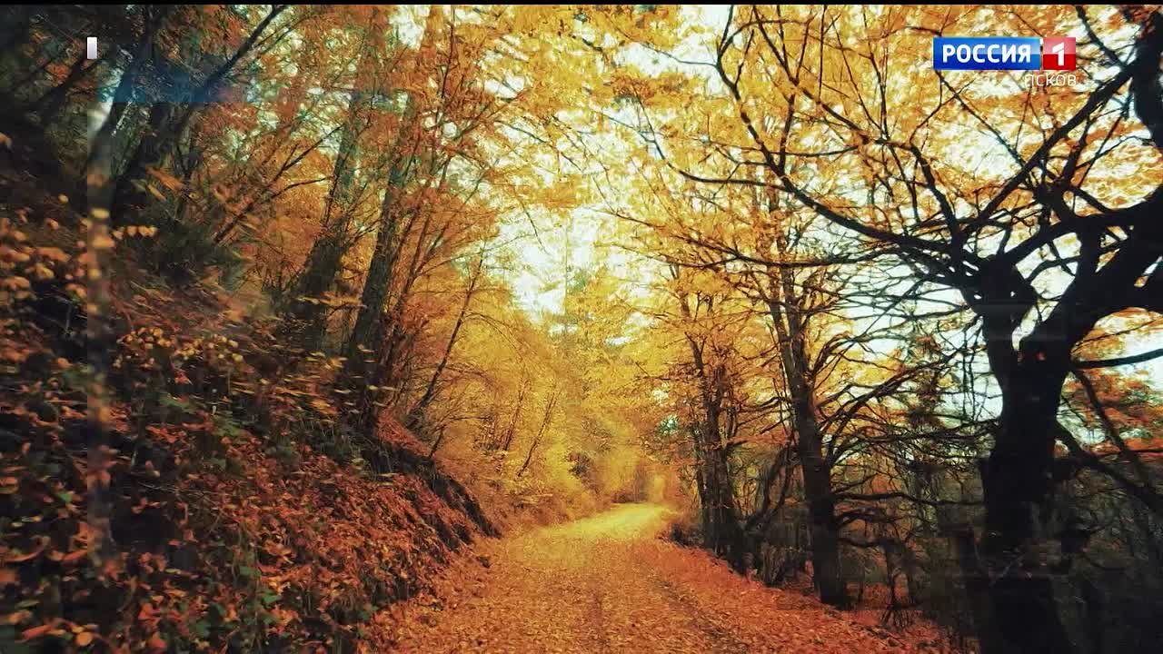 Прогноз погоды в Псковской области на 27 ноября