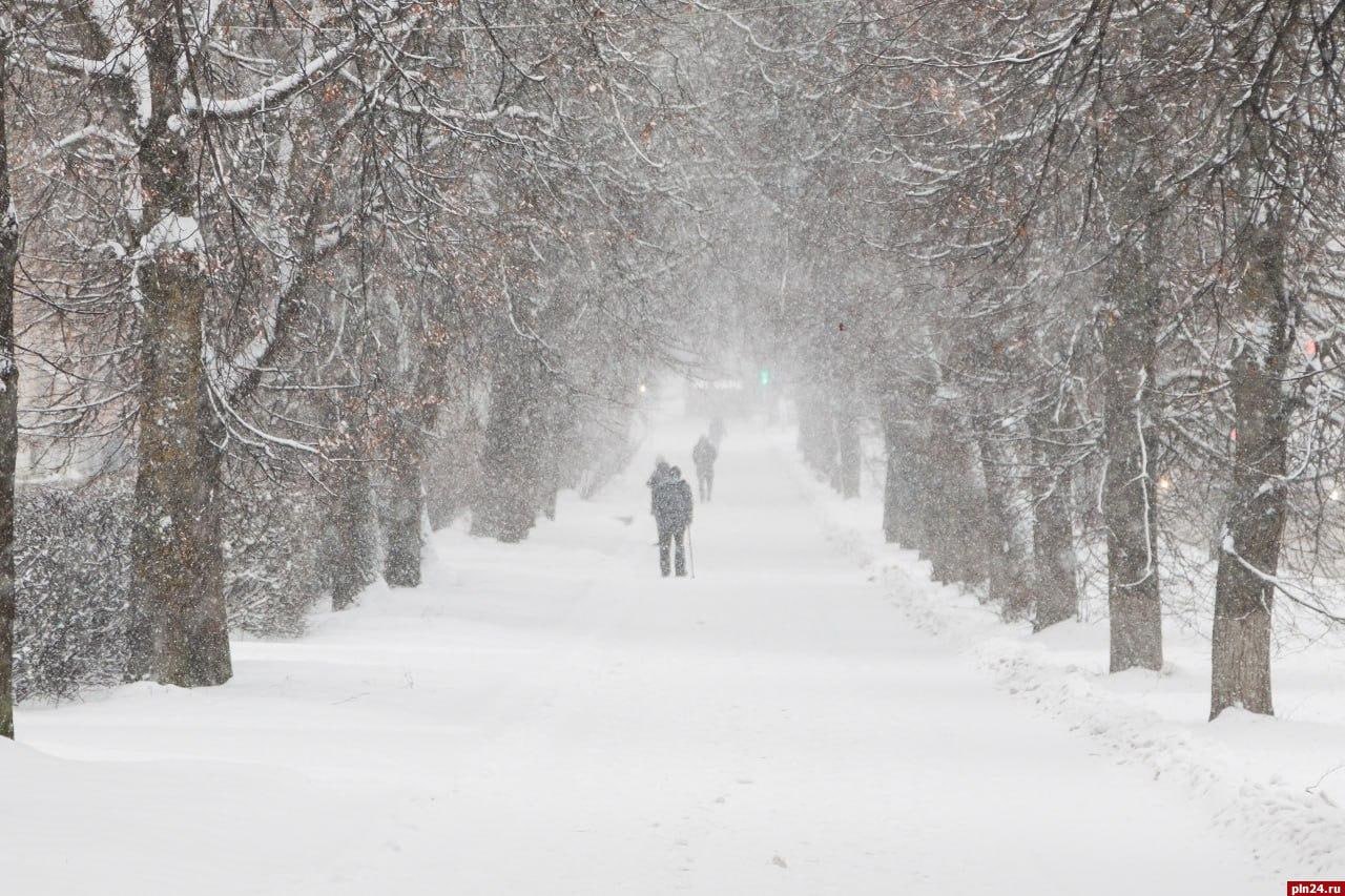 Первый большой снегопад накрыл Псков Первый большой снегопад накрыл Псков