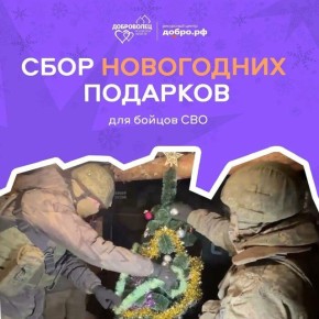 Псковский ресурсный центр объявил о сборе новогодних подарков для бойцов СВО, находящихся на передовой и в госпиталях