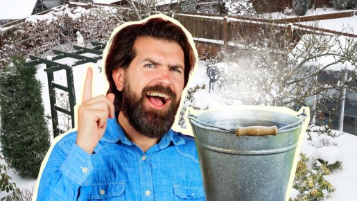 «Бегут как ненормальные»: помогает ли кипяток бороться с вредителями деревьев