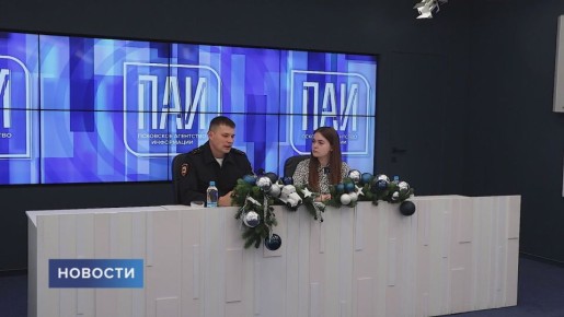 За 2025 год в Псковской области зафиксировано одна тысяча сто девяносто шесть случаев мошенничества