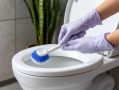 Как быстро вернуть блеск унитазу: эффективные способы очистки без химии