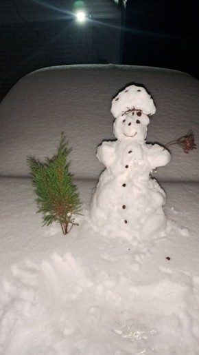 Снеговики, что надо: псковичи подхватили флешмоб