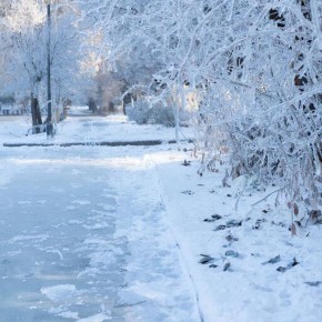 Синоптики обещают, что в последний день ноября псковичей ждет день без существенных осадков