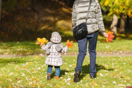 День матери отмечается в России 30 ноября