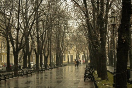 Небольшие осадки и до +4 градусов прогнозируют в Псковской области 1 декабря