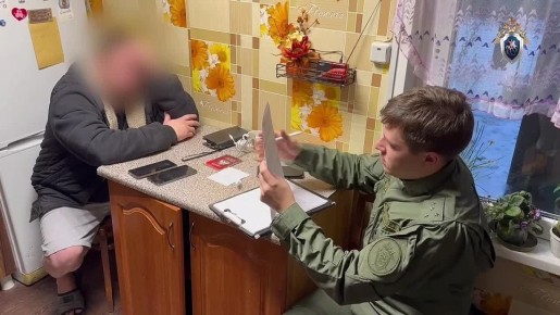 В Псковской области установлен и задержан мужчина, совершивший противоправные действия в отношении малолетней более 13 лет назад