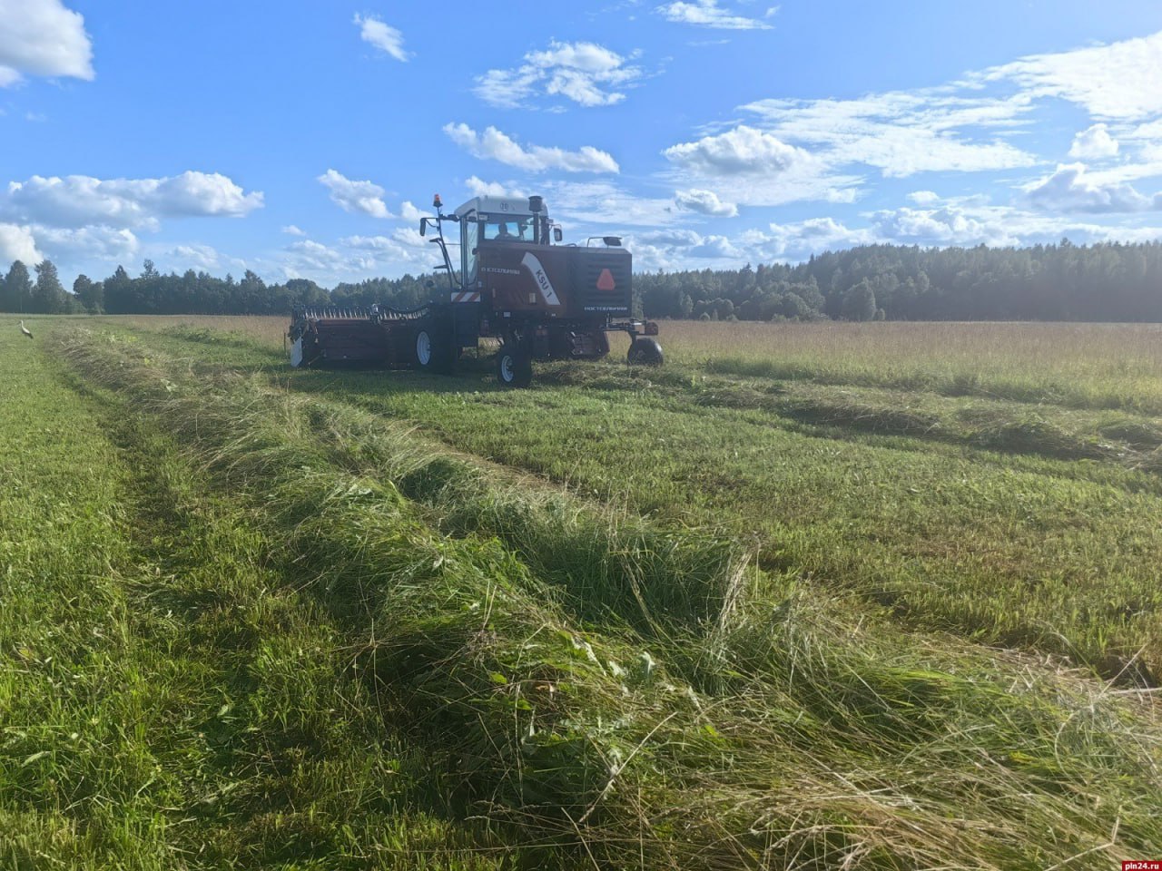 Не техникой единой: как псковские аграрии покоряют новые высоты Не техникой единой: как псковские аграрии покоряют новые высоты