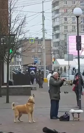 Собакен присоединился к уличному музыканту в Калининграде и спел с ним дуэтом