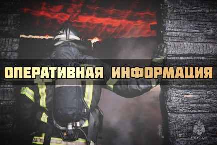 #ОперативноЗаСутки. Сегодня ночью пожарно-спасательные подразделения Псковской области реагировали на возгорание в жилом доме в деревне Соловьи Псковского МО. Оперативно прибывшими огнеборцами МЧС России возгорание было...