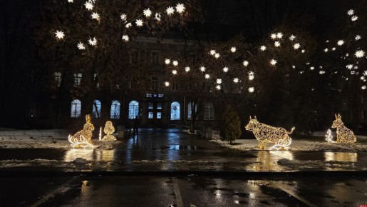 Световые фигуры зверей установили возле Главпочтамта в Пскове