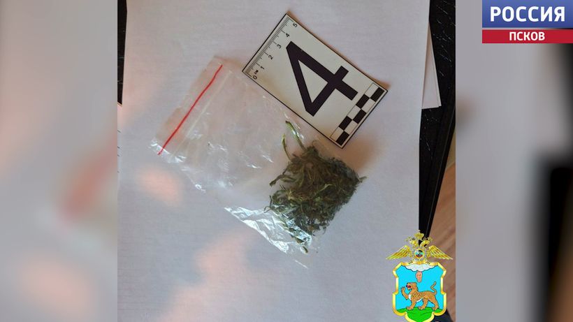 Наркопритон в Невельском округе ликвидировали полицейские Наркопритон в Невельском округе ликвидировали полицейские