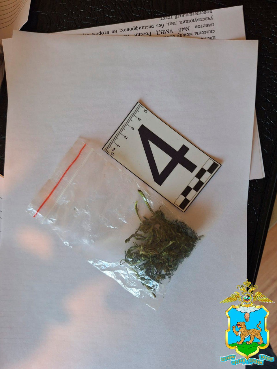 В Псковской области полицейские ликвидировали наркопритон В Псковской области полицейские ликвидировали наркопритон