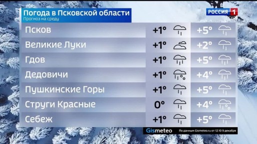 Прогноз погоды в Псковской области на 10 декабря