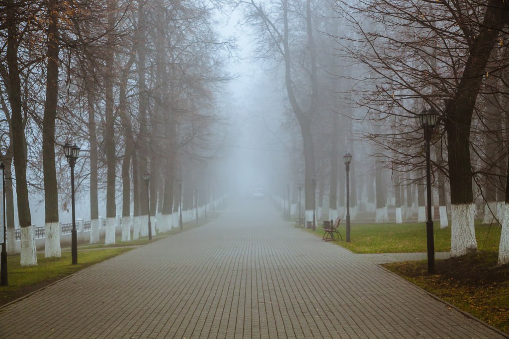 Облачную погоду, до +6 градусов прогнозируют в Псковской области 10 декабря