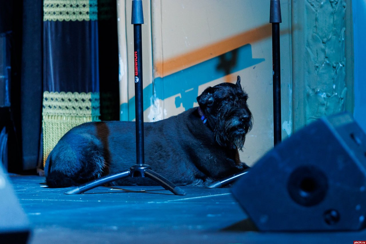 «Кроха-фест» в Пскове. ФОТОРЕПОРТАЖ «Кроха-фест» в Пскове. ФОТОРЕПОРТАЖ