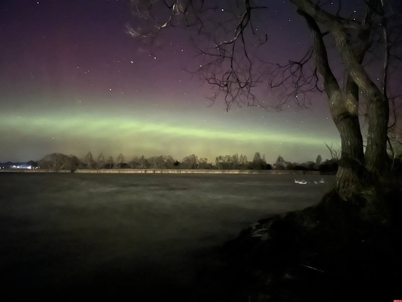 «Магия этой ночи»: полярное сияние вновь наблюдали в Псковской области