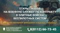 В Псковской области объявлен набор на военную службу по контракту в новые элитные войска беспилотных систем Вооружённых Сил России