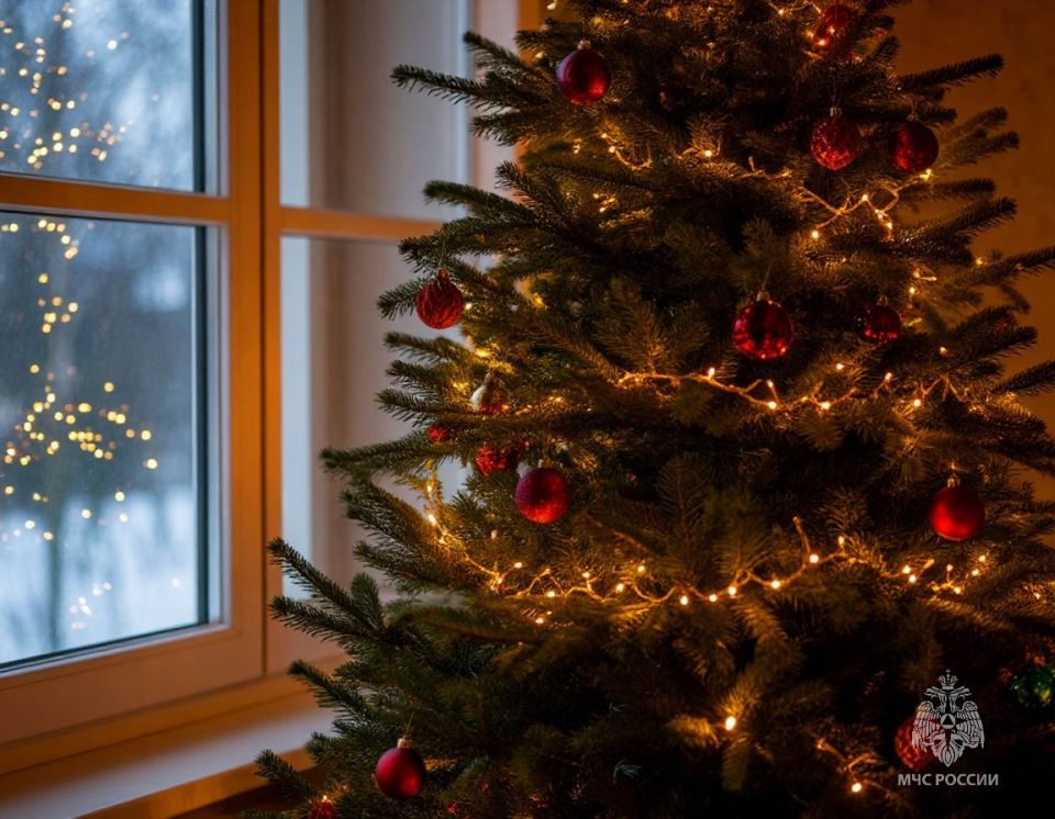 ������ ��� �����. ������� ����� ����������, � �������� ���������� ������� ���������� ����� � ����! �� ����� �������� �� ��������� ��������������, ����� ������� � ������������ ������� �����